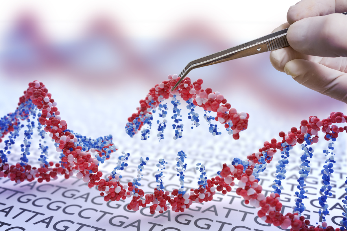 CRISPR es una tecnología de edición de genes que permite a los científicos alterar con precisión una región de la secuencia de ADN. Los científicos de este estudio utilizaron CRISPR para silenciar ambas copias del gen del Huntington, lo que mejoró los síntomas en modelos de ratones con EH.  