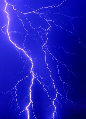 Se espera que los inhibidores de la KMO puedan proteger las células contra el daño causado por un exceso de estimulación eléctrica o química, lo que se conoce como muerte excitotóxica