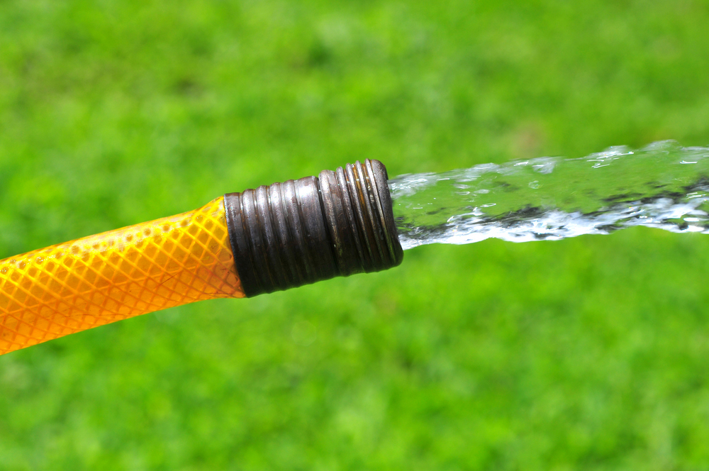 El 'conducto' de la EH contiene muchos tratamientos posibles en todas las etapas de desarrollo 