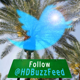 Siga la Conferencia en directo a través de @HDBuzzFedd en Twitter