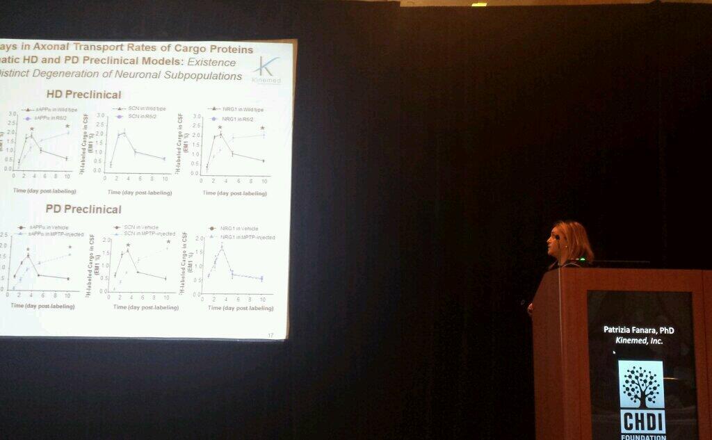Patrizia Fanara nos mostró los datos de cómo la proteína huntingtina mutada modifica la dinámica de las proteínas en el cerebro del ratón