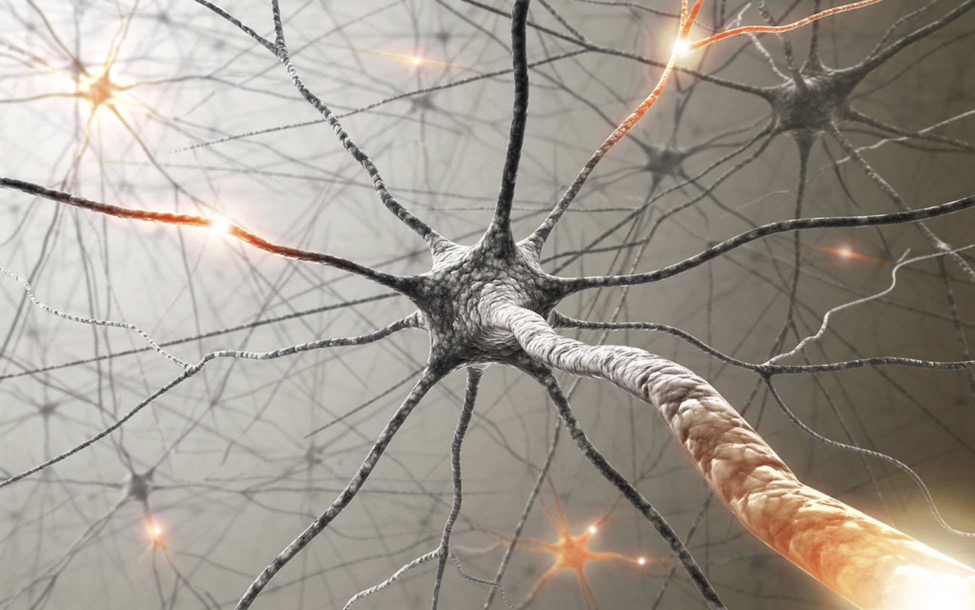 Los cribados genéticos en el sistema nervioso central son una nueva frontera en la ciencia médica.