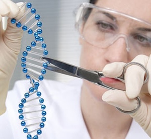 El sistema CRISPR puede considerarse como unas tijeras genéticas. Para editar con CRISPR se añade un trozo de código genético y una proteína que hace el corte. El código genético le dice a las tijeras dónde cortar. ¡Voilá!