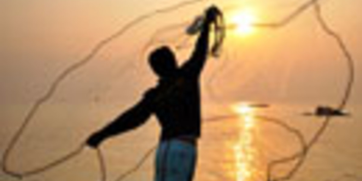 De pesca: una red de proteínas identifica nuevos objetivos terapéuticos en la enfermedad de Huntington