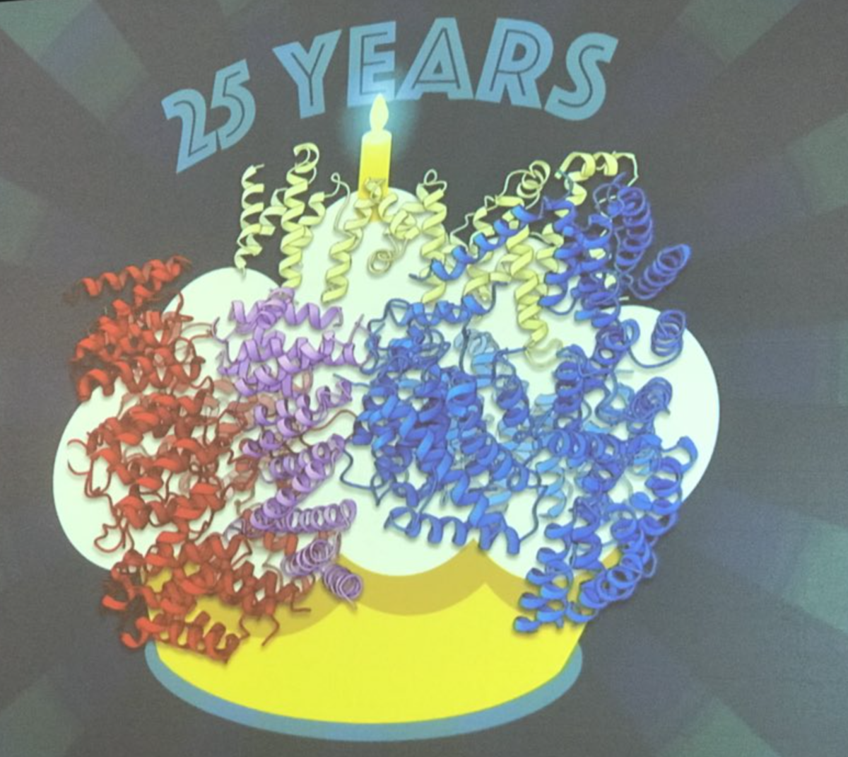 El Dr. Kochanek desveló la estructura de la huntingtina (las cintas onduladas) en febrero en una reunión sobre terapias, como un regalo de cumpleaños para la comunidad EH que celebraba 25 años desde el descubrimiento del gen.  