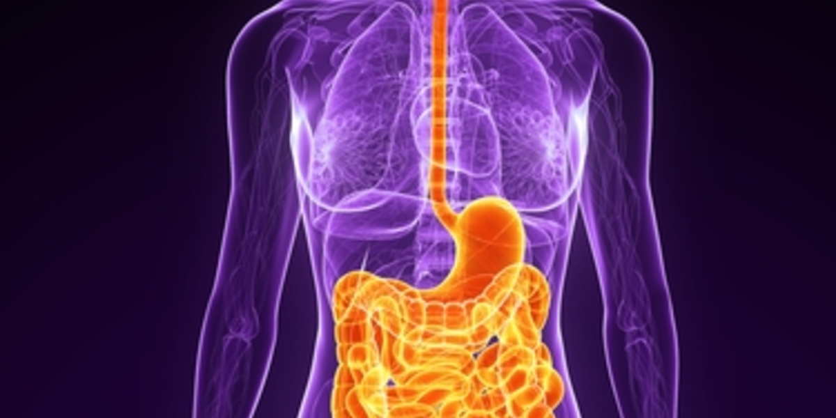 No todo está en la cabeza: problemas digestivos en la EH