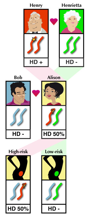 Funcionamiento del análisis de exclusión. Todos los descendientes de Alison y Bob heredarán una copia del cromosoma 4 bien de Henry o bien de Henrietta. Los cromosomas heredados de Henry puede que tengan la mutación de la EH. El análisis de exclusión nos indica qué fetos han heredado el cromosoma 4 de Henrietta y por lo tanto son de "bajo riesgo" de heredar la enfermedad.   