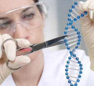 Ahora los científicos pueden "editar" el ADN de las células, y reparar errores genéticos.  