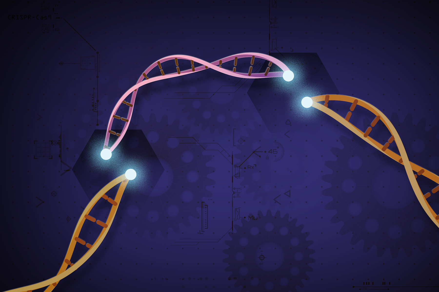 Se recomienda precaución con el uso de la tecnología de edición génica CRISPR