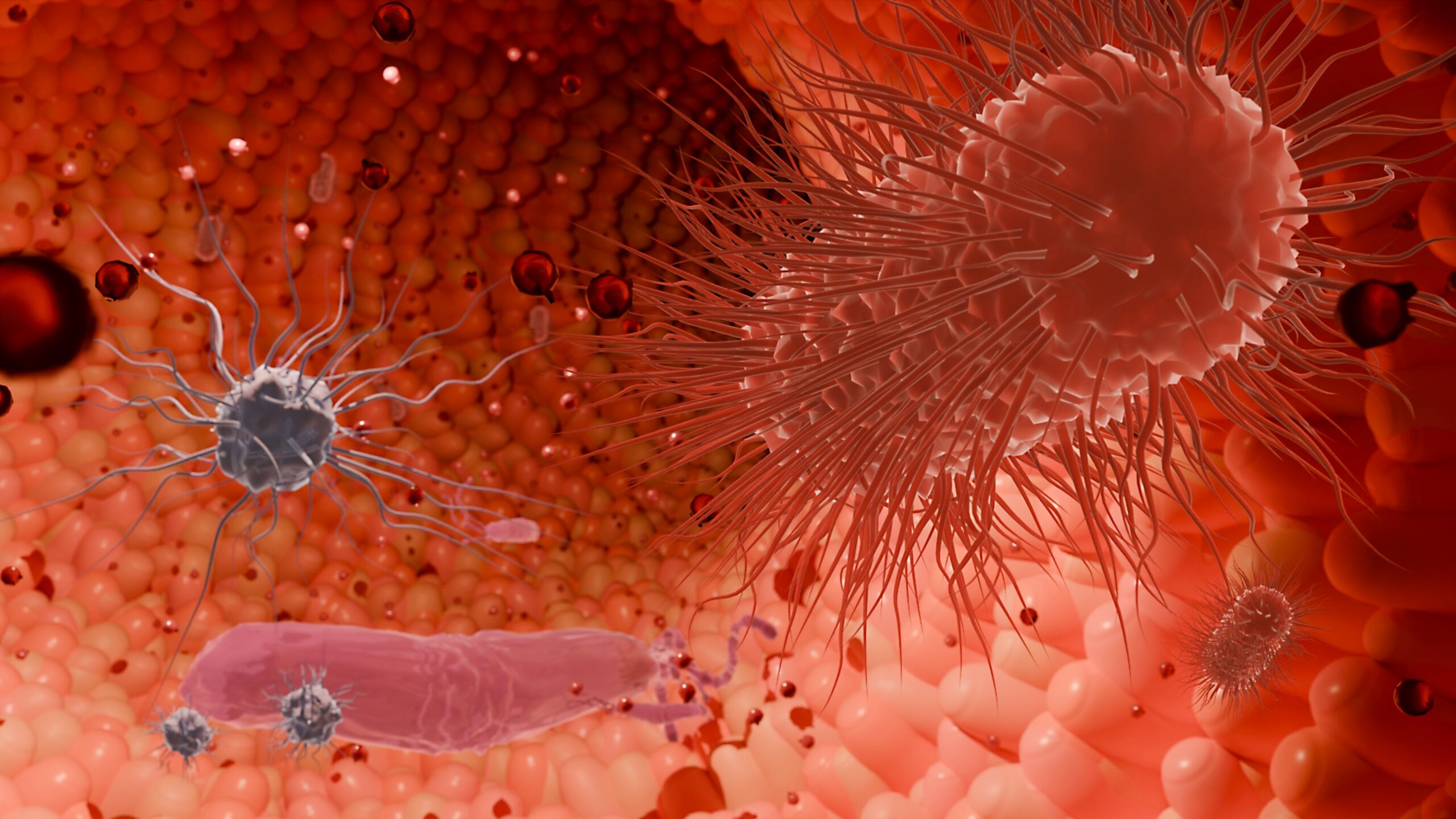 Alimentar el cerebro a través del intestino: cómo los prebióticos podrían influir en la enfermedad de Huntington