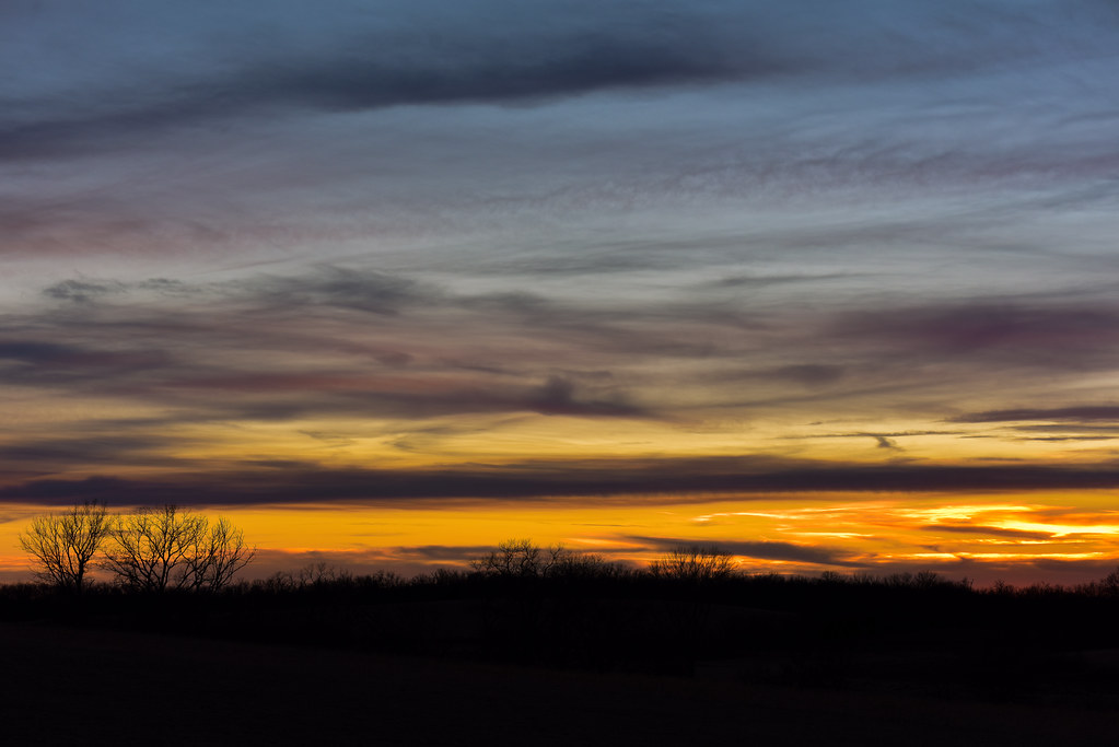 Por escrito: el fármaco oral branaplam redujo la huntingtina, pero las preocupaciones de seguridad detuvieron su desarrollo