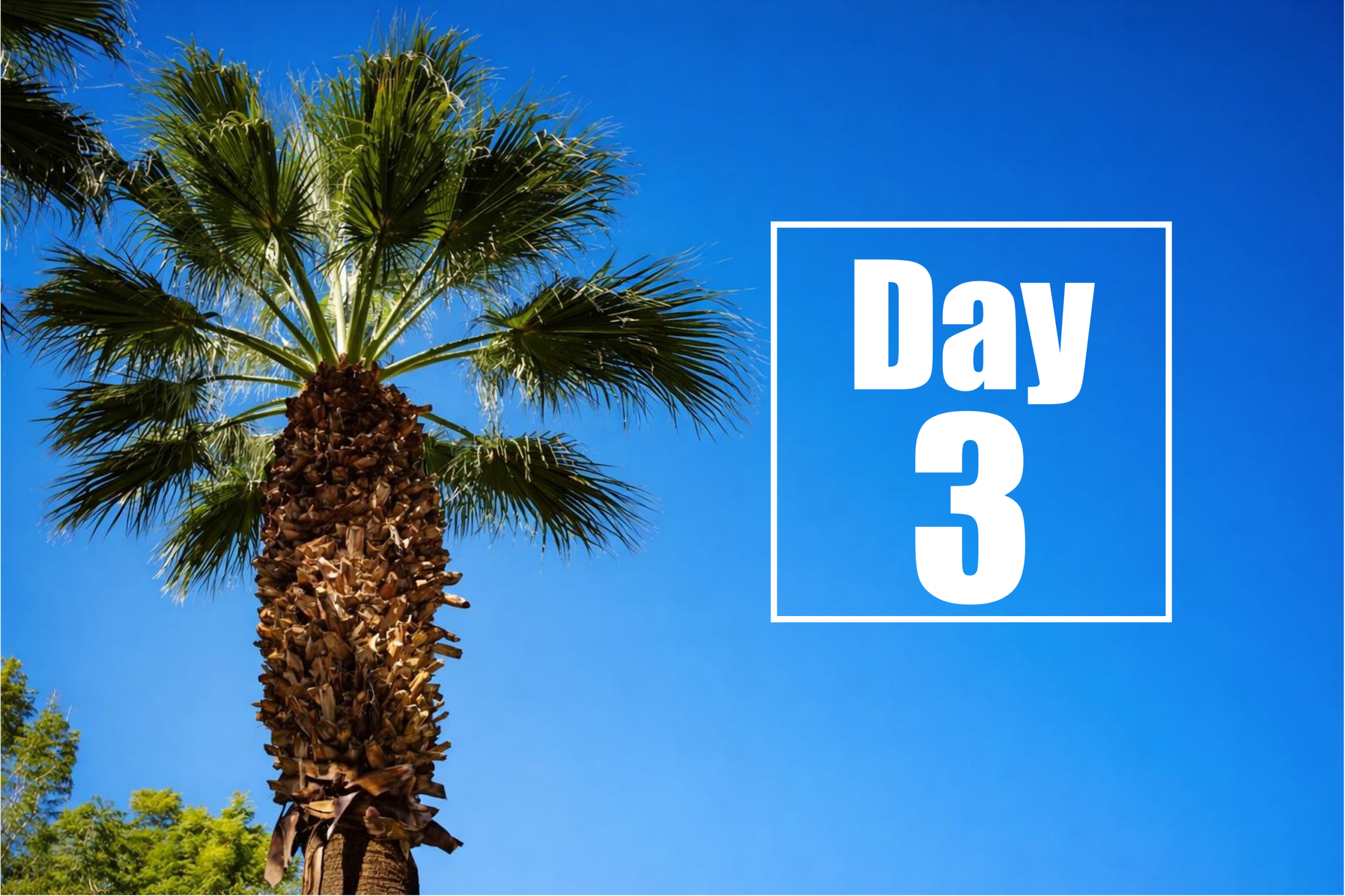 Conferencia sobre Terapéutica de la Enfermedad de Huntington 2026 – Día 3