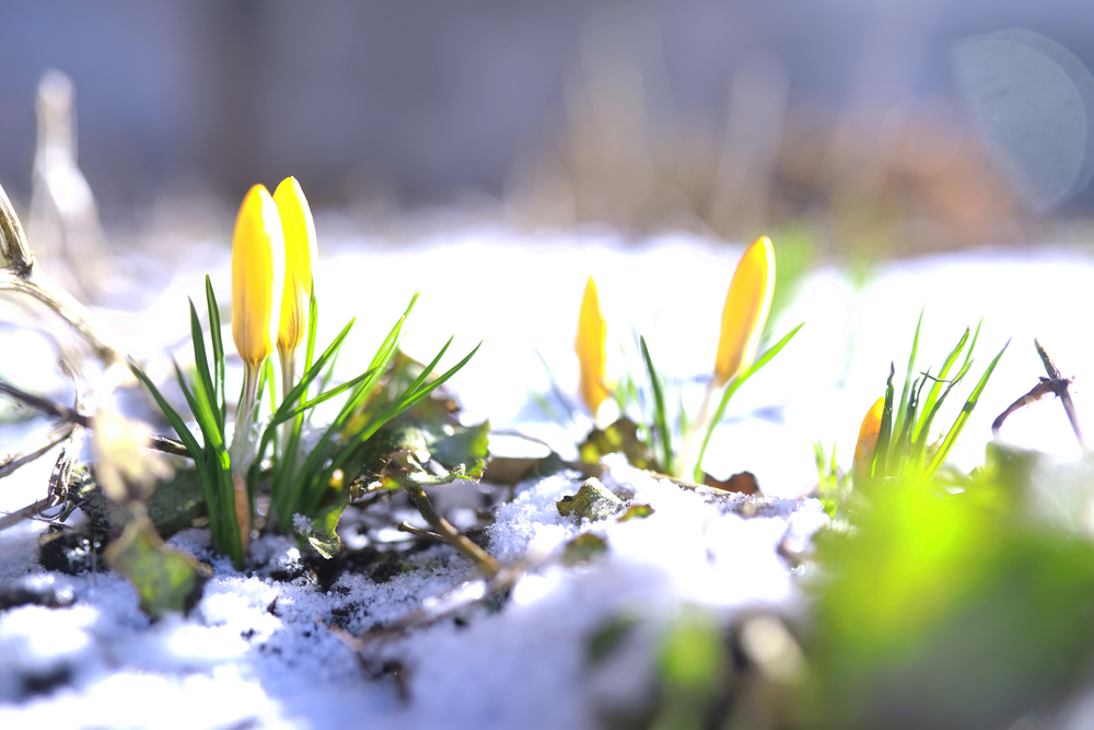 Marzo de 2026: Este mes en la investigación sobre la enfermedad de Huntington